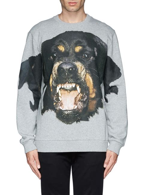 givenchy grey rottweiler sweatshirt|Givenchy rottweiler shirt price.